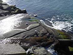 Idag 2004-04-02 004.jpg